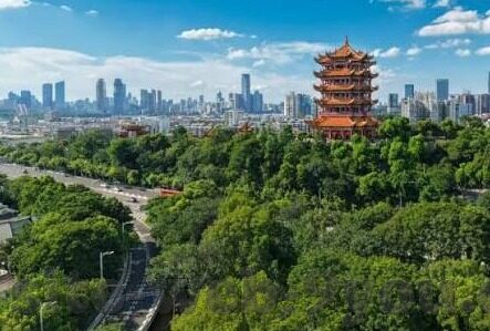 mk体育登录入口-MK体育，个性化与安全兼容的体育网络平台